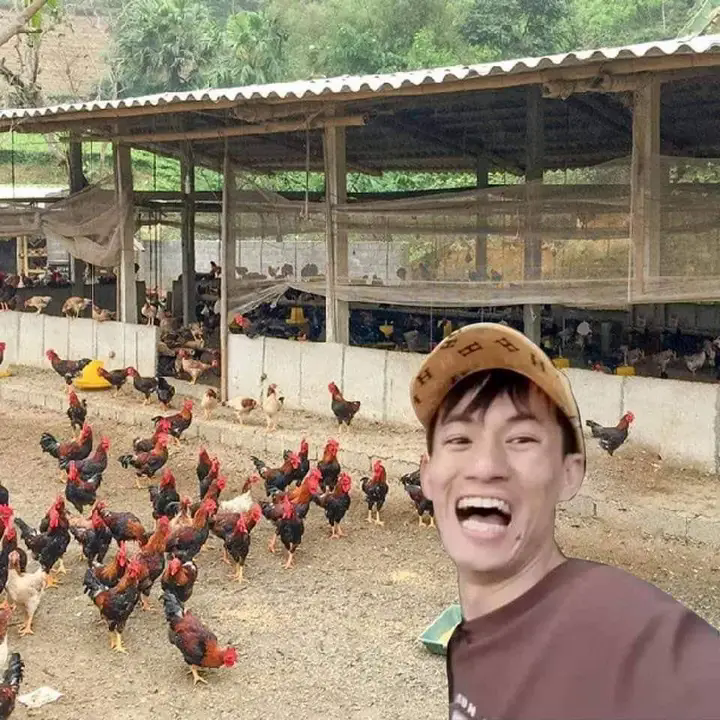 Bui Xuan Quan and his biggest chicken farm