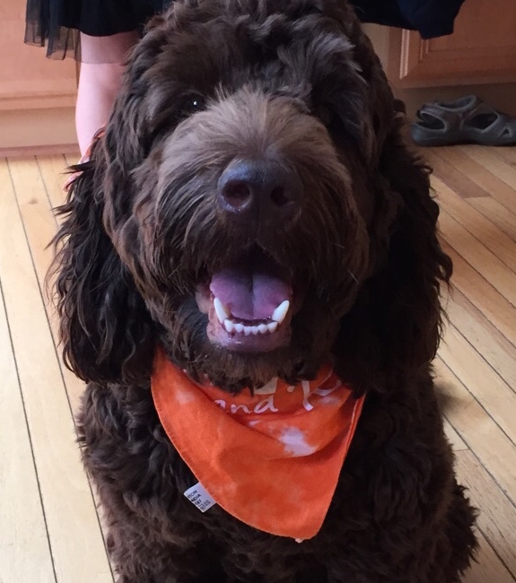 Styling with a Bandana